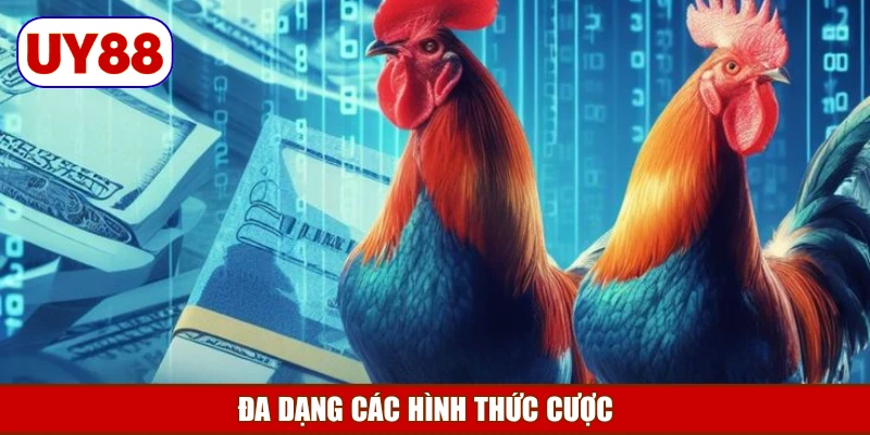 da-dang-cac-hinh-thuc-cuoc