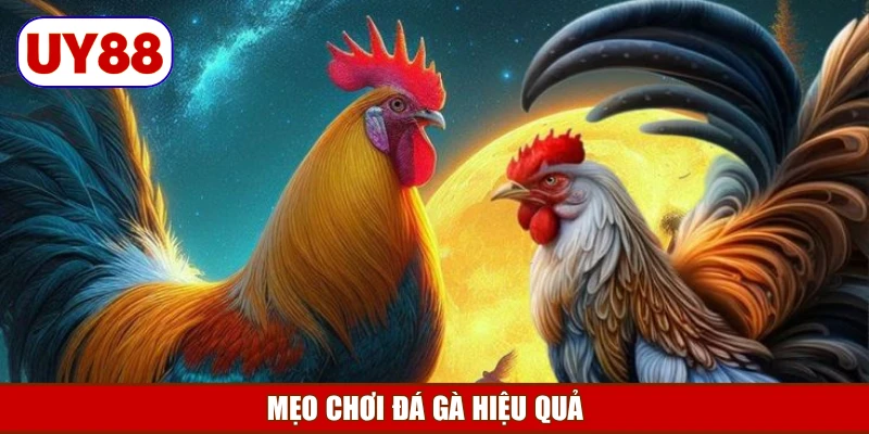 meo-choi-da-ga-hieu-qua